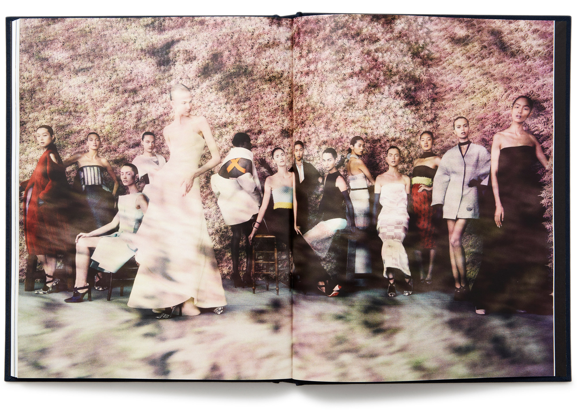 Daniel Baer – Dior&nbsp;&ndash;&nbsp;Images&nbsp;de&nbsp;L&eacute;gende.<i> Rizzoli /&nbsp;Dior</i> 13