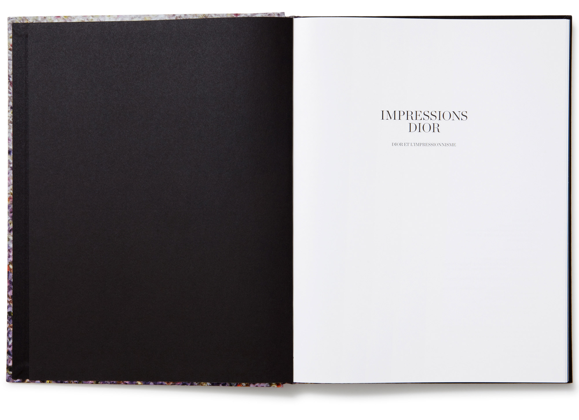Daniel Baer – Impressions&nbsp;Dior.<i> Rizzoli /&nbsp;Dior</i> 2