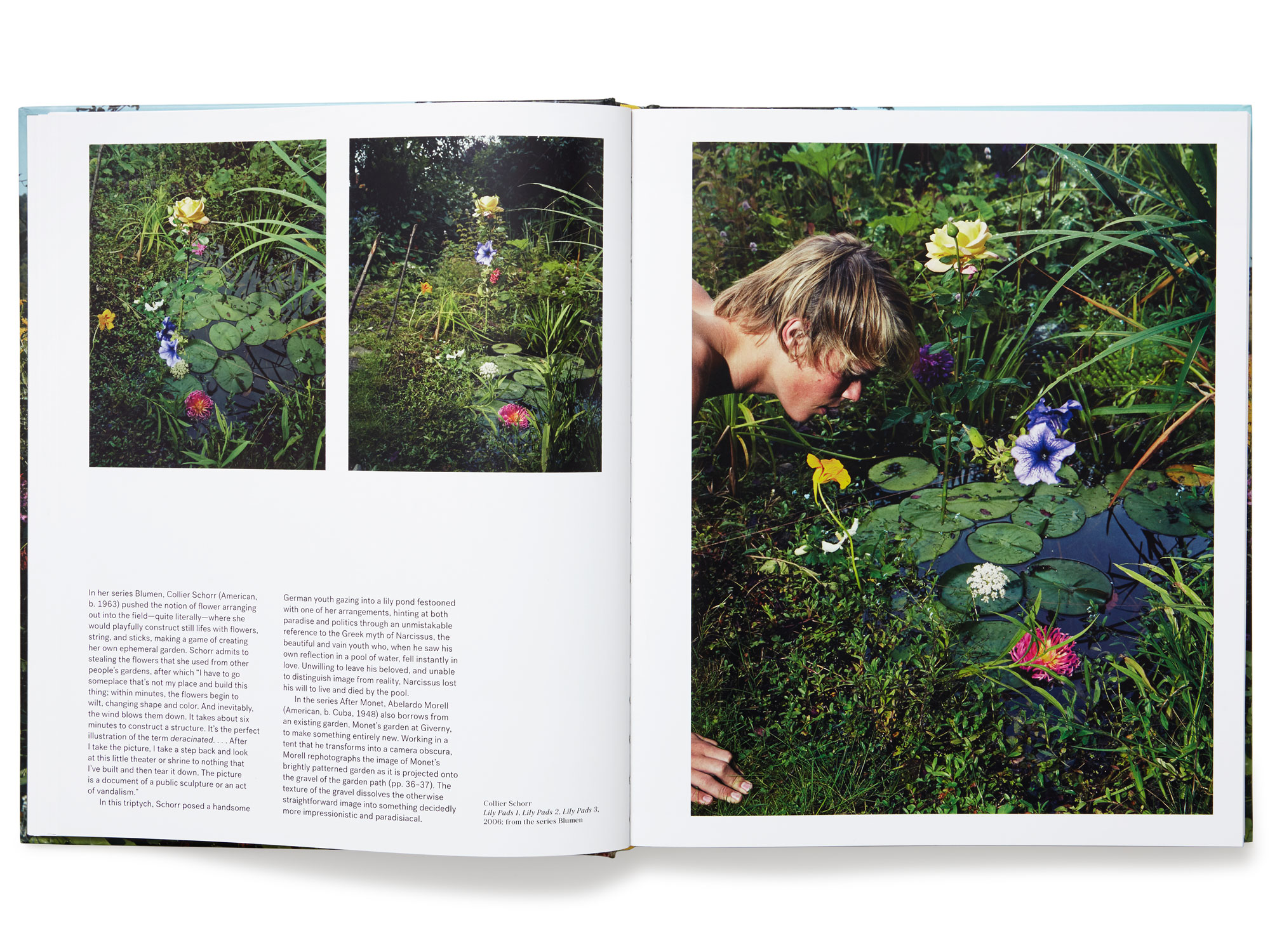 Daniel Baer – The Photographer in the Garden.&nbsp;<i>Aperture Foundation</i> 3