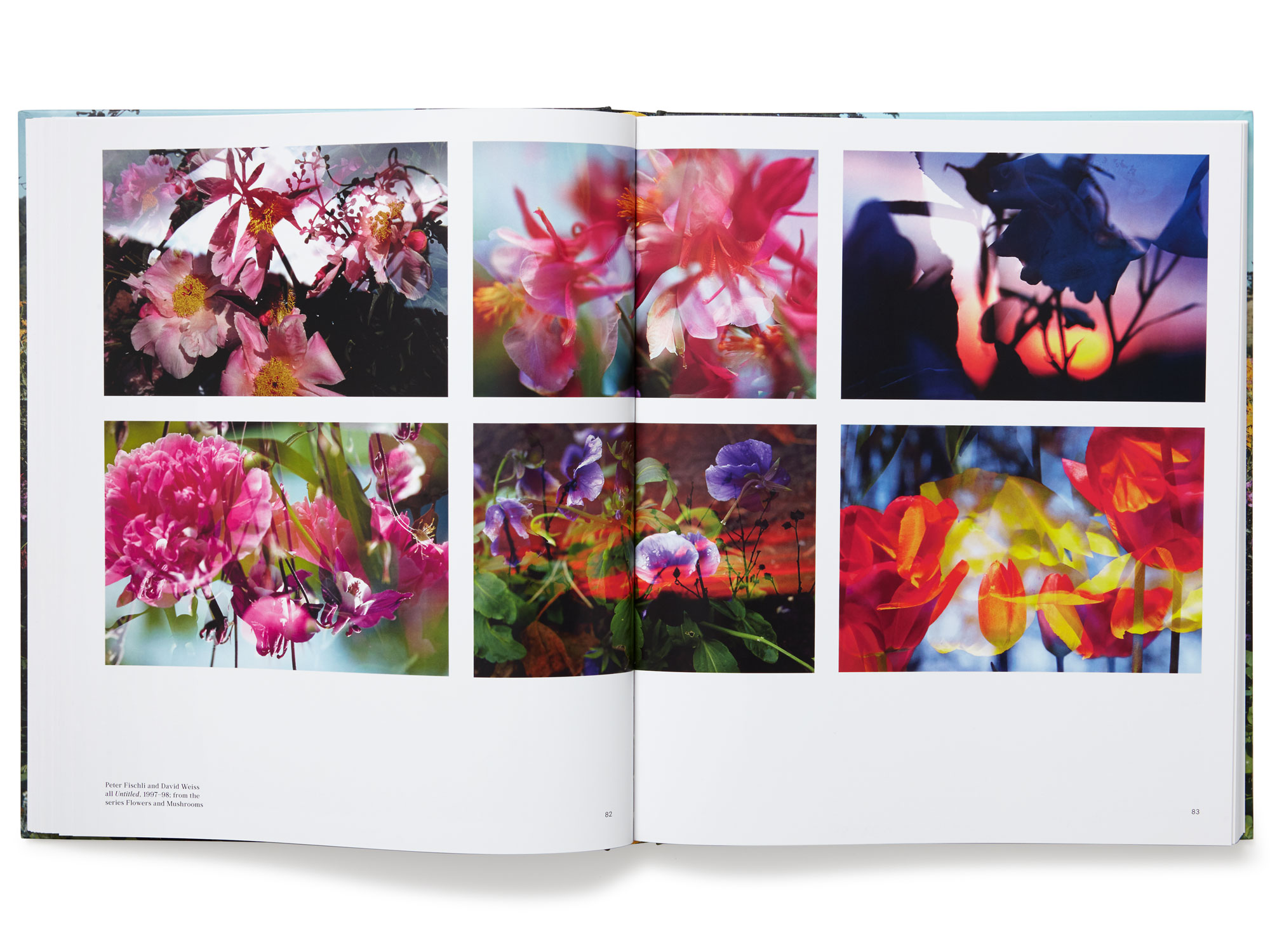 Daniel Baer – The Photographer in the Garden.&nbsp;<i>Aperture Foundation</i> 5