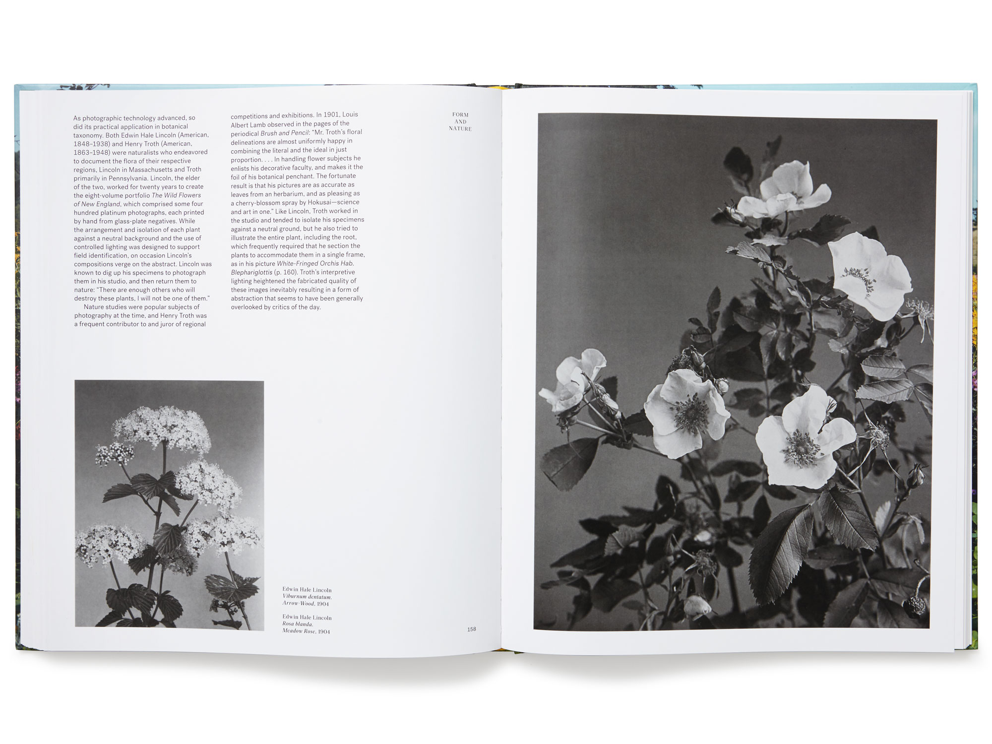 Daniel Baer – The Photographer in the Garden.&nbsp;<i>Aperture Foundation</i> 7