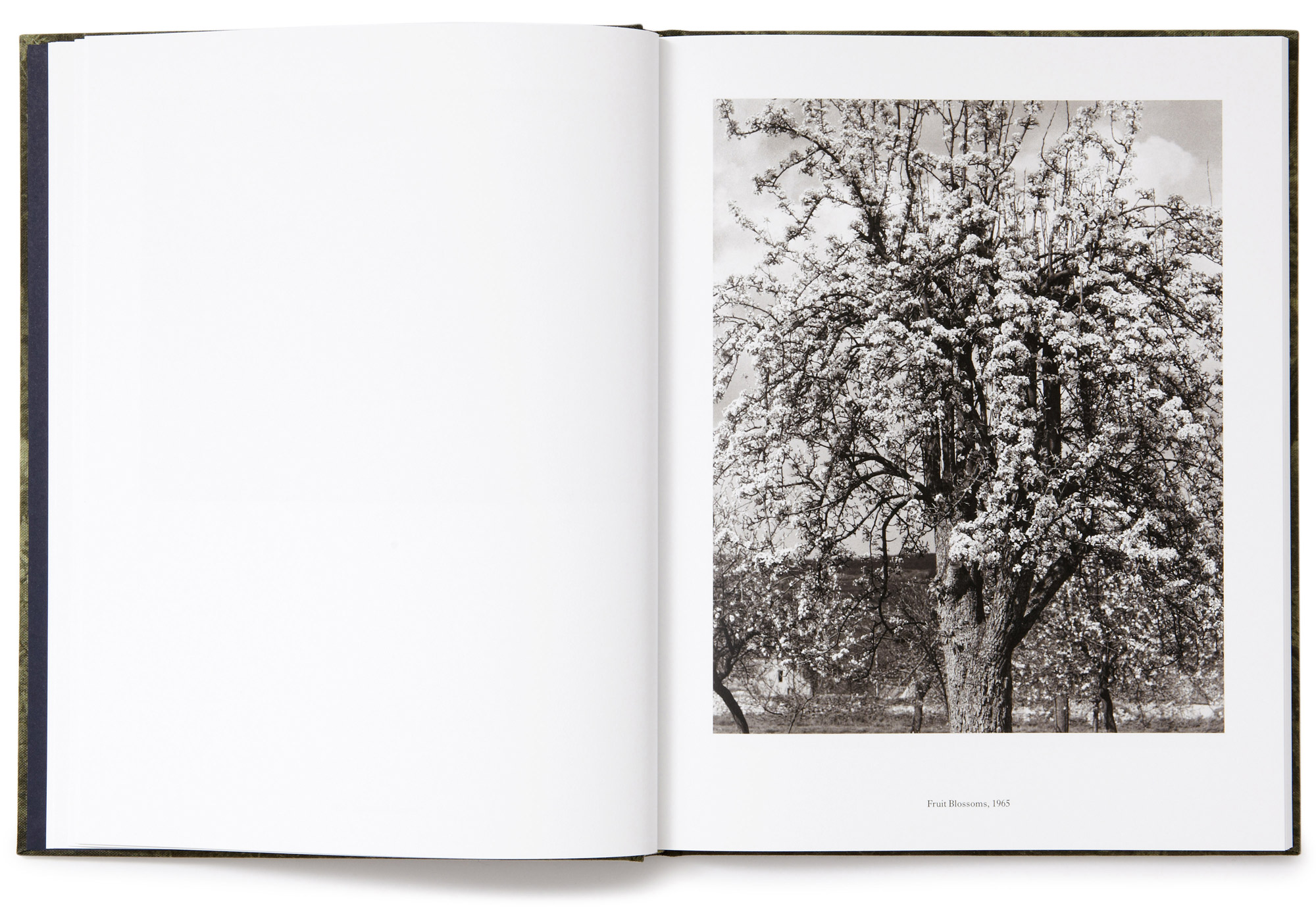 Daniel Baer – Paul&nbsp;Strand&nbsp;Book. <i>Aperture&nbsp;Foundation</i> 7