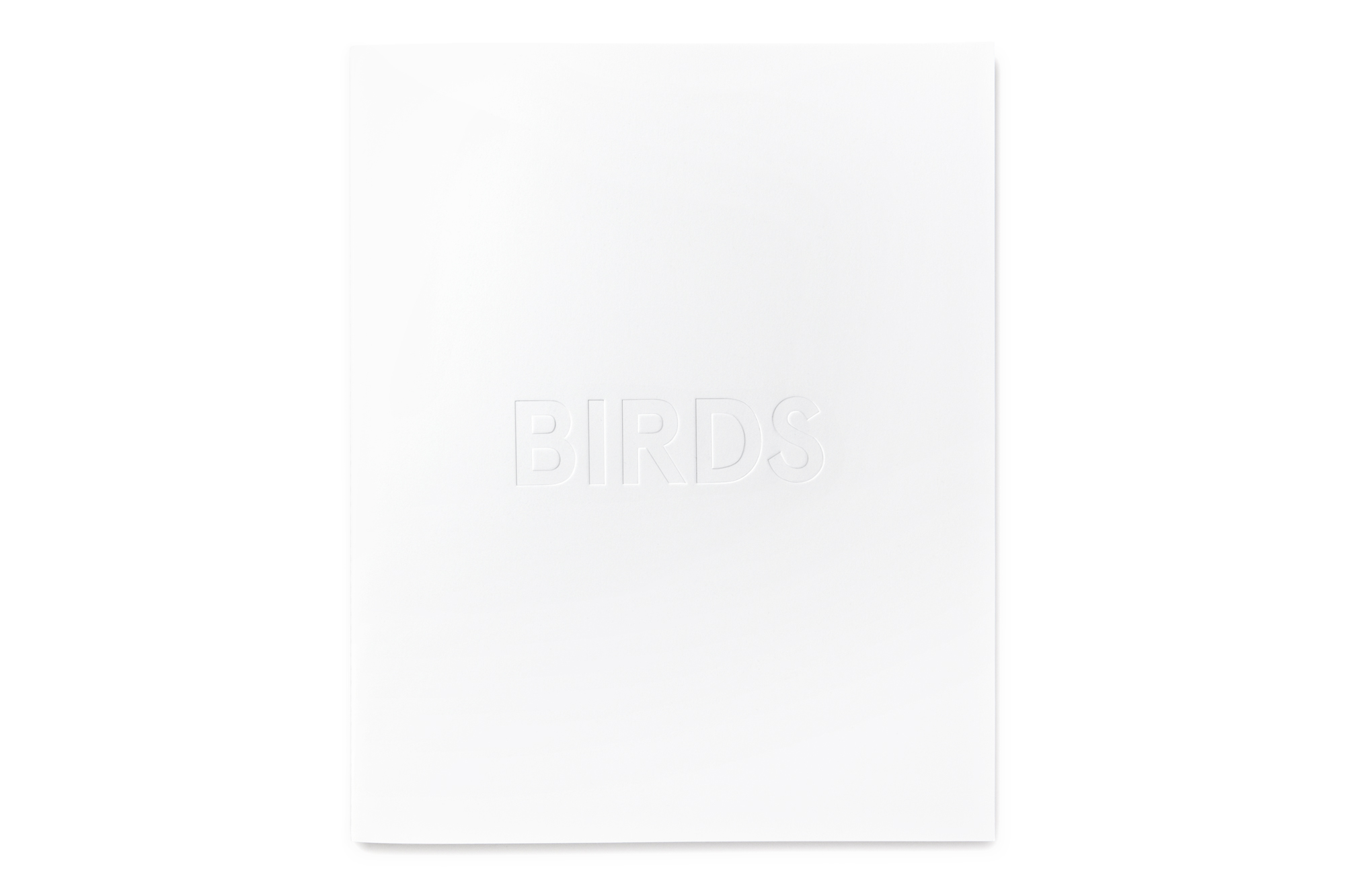 Daniel Baer – Birds&nbsp;&ndash; Publication. <i>Thomas&nbsp;Lohr</i> 1